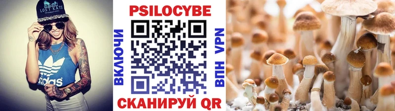 мориарти какой сайт  Зверево  Галлюциногенные грибы Psilocybine cubensis 